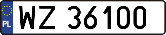 WZ36100
