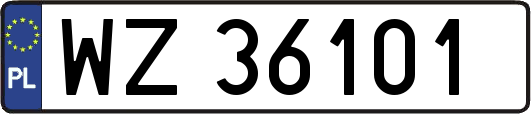 WZ36101