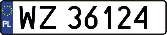 WZ36124