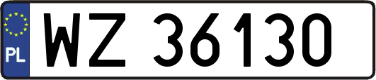 WZ36130