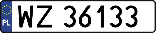 WZ36133