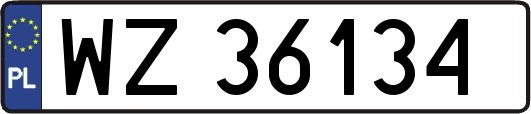 WZ36134