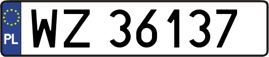 WZ36137