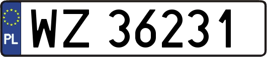 WZ36231