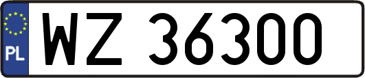 WZ36300