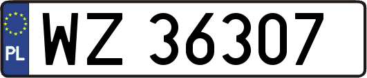 WZ36307