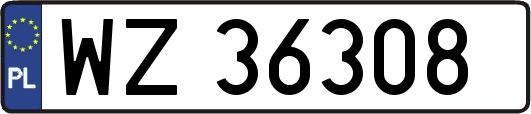 WZ36308