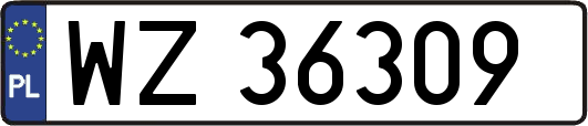 WZ36309