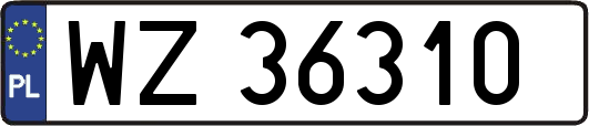 WZ36310