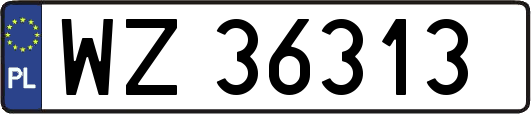 WZ36313