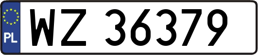 WZ36379