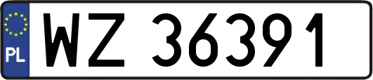 WZ36391