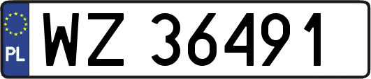 WZ36491