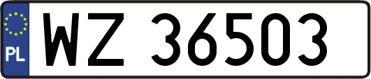 WZ36503