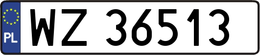 WZ36513