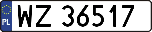 WZ36517