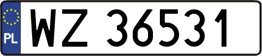 WZ36531