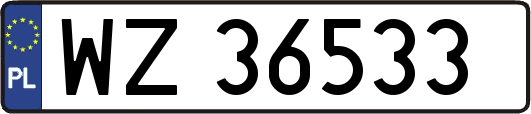 WZ36533