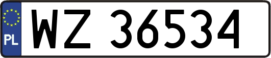 WZ36534