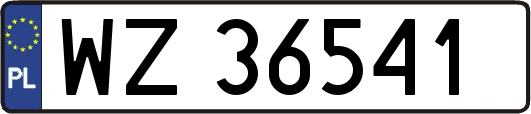 WZ36541