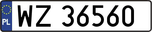 WZ36560