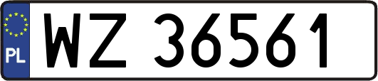 WZ36561