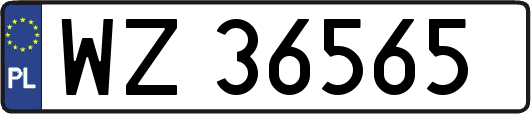 WZ36565