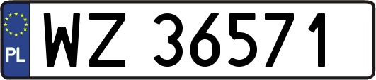 WZ36571