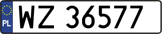 WZ36577