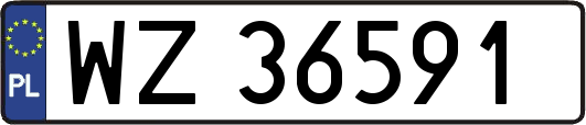 WZ36591