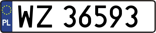 WZ36593