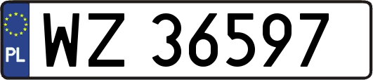 WZ36597