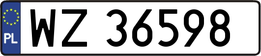 WZ36598