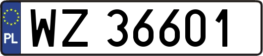 WZ36601