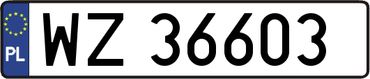 WZ36603