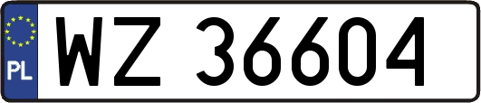 WZ36604