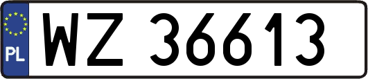 WZ36613