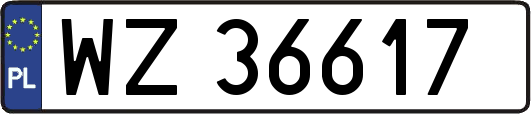 WZ36617