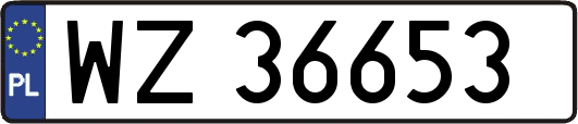 WZ36653
