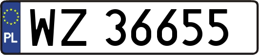 WZ36655