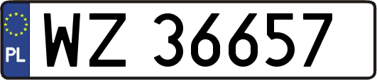 WZ36657