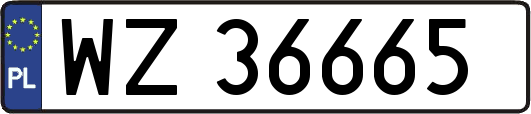 WZ36665