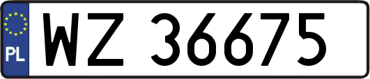 WZ36675