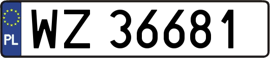 WZ36681