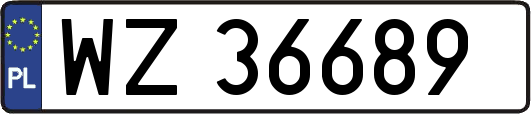 WZ36689
