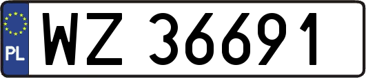 WZ36691