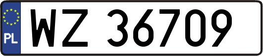 WZ36709