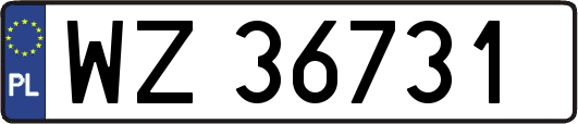 WZ36731