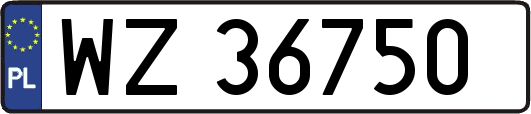 WZ36750