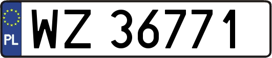 WZ36771